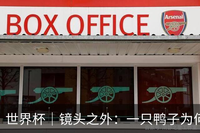 世界杯｜镜头之外：一只鸭子为何火遍世界杯？